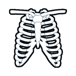 x-ray_icon